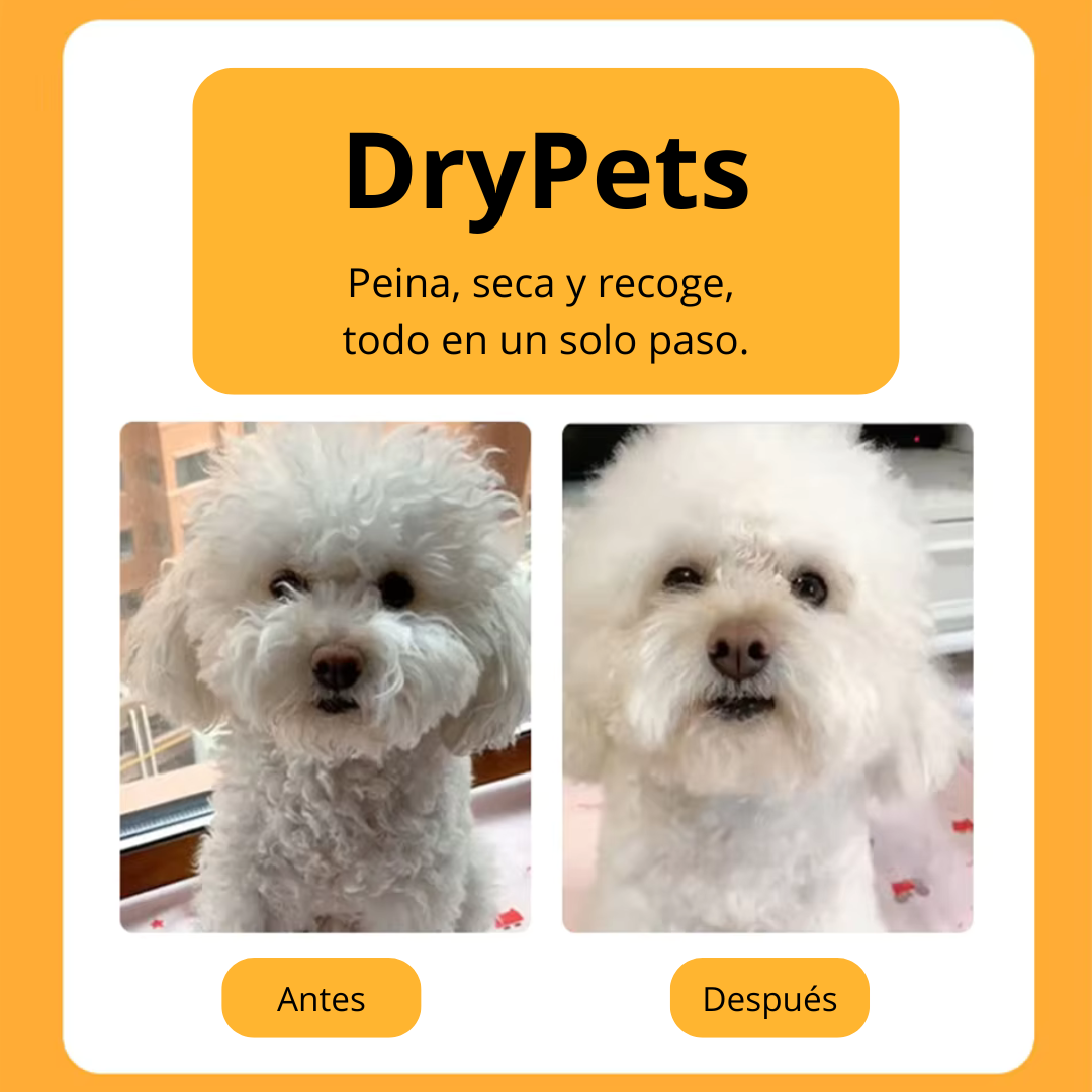 DryPets